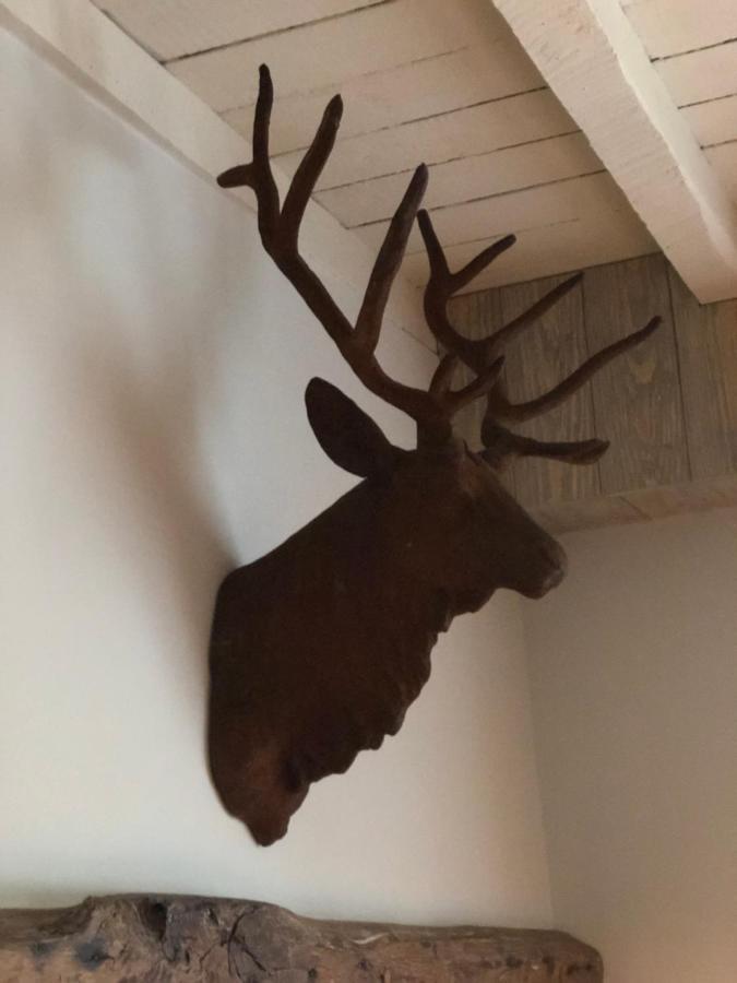 B&B Le Nid D'Hirondelle Houffalize Exteriör bild